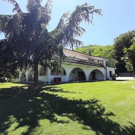 "Cara Pace" In Collina Per Famiglie Bed and Breakfast Montefiore Conca Eksteriør billede