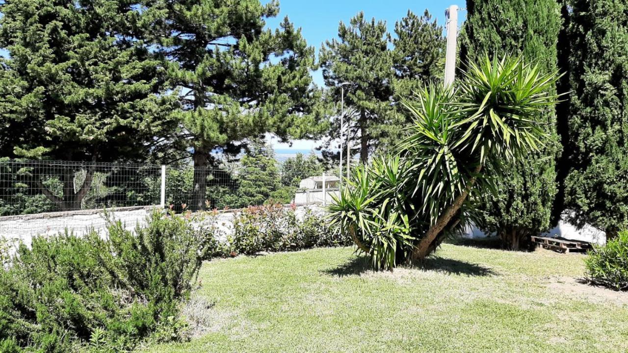 "Cara Pace" In Collina Per Famiglie Bed and Breakfast Montefiore Conca Eksteriør billede