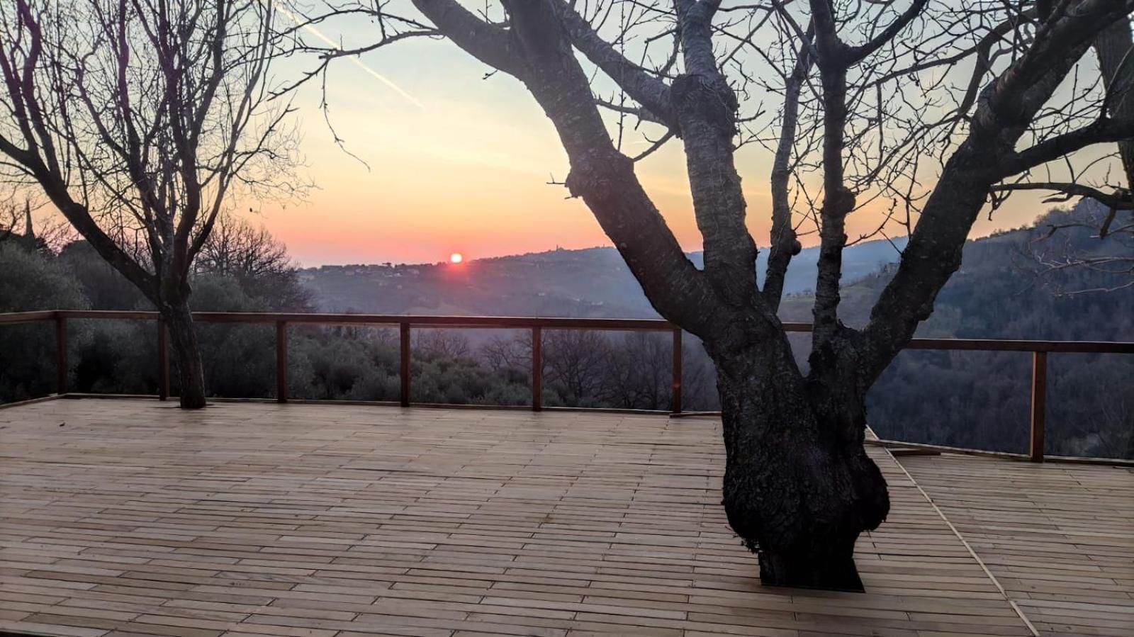"Cara Pace" In Collina Per Famiglie Bed and Breakfast Montefiore Conca Eksteriør billede
